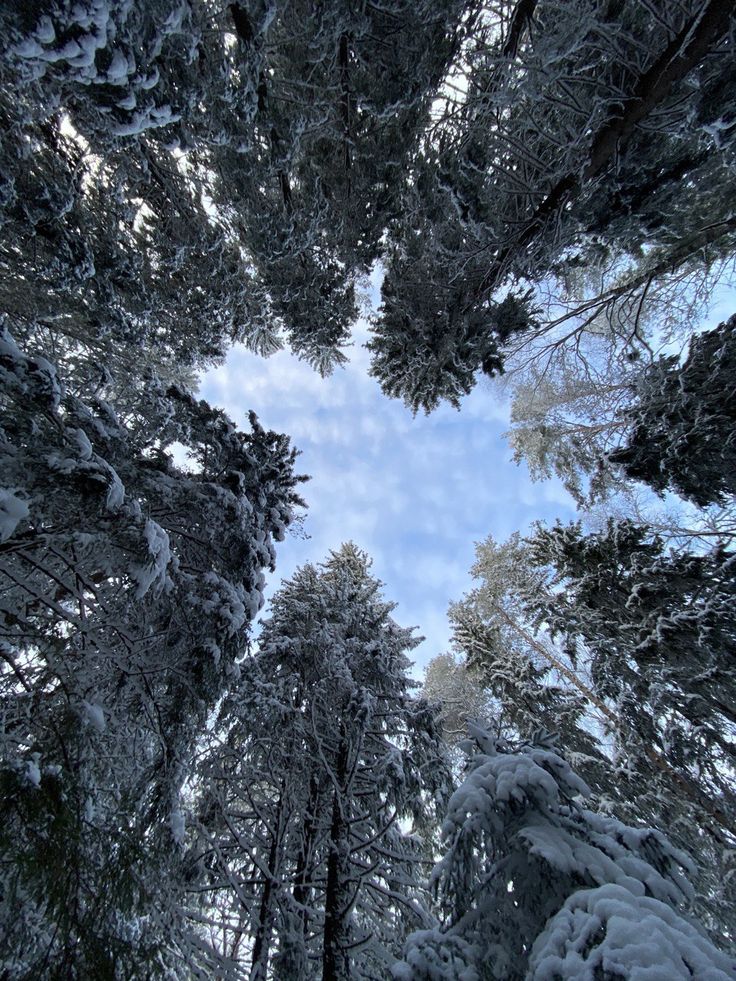 Новый год в «Ласточкино гнездо»