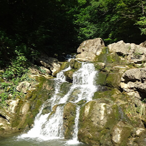 Проведение мероприятий